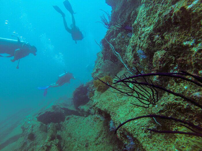 diving in sri lanka