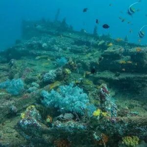 Dive Against Debris Course | PADI