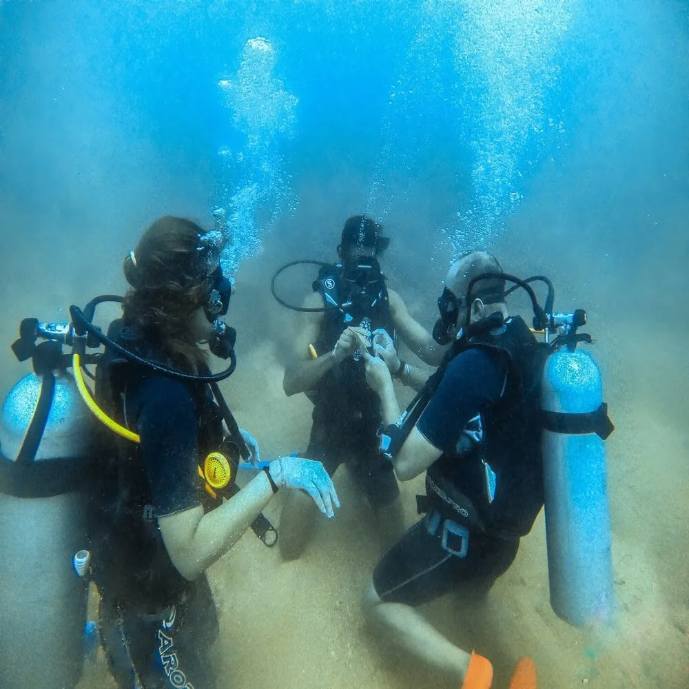 Rescue Course | PADI