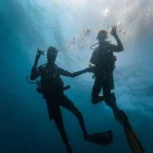 Advanced Open Water Course | PADI