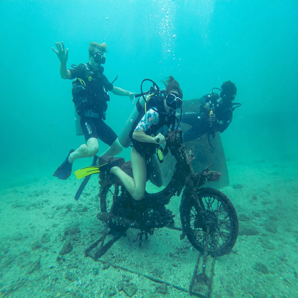 Discover Scuba Diving | 1 Dive - Image 4