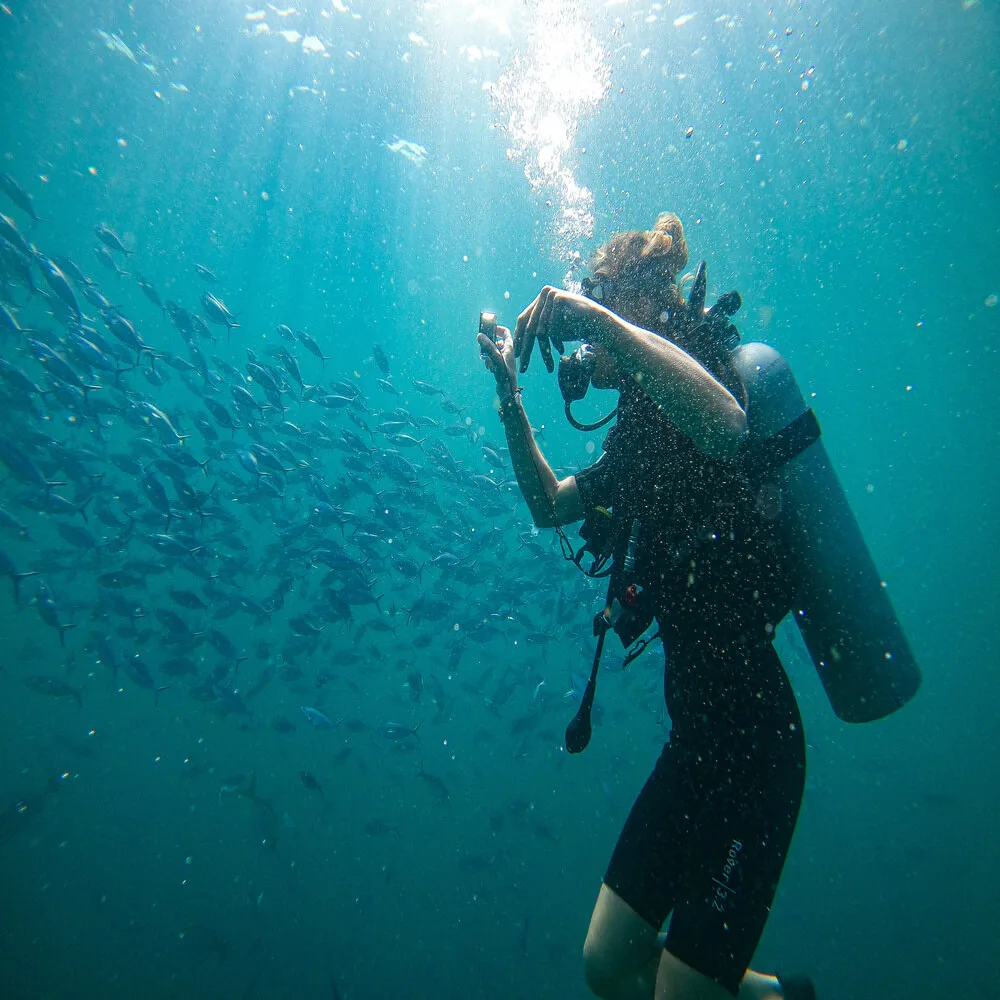 Two Boat Dives