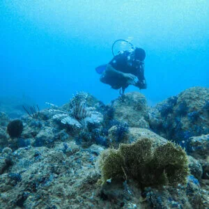 Open Water Referral | PADI