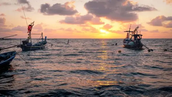 Sunset Boat Tour