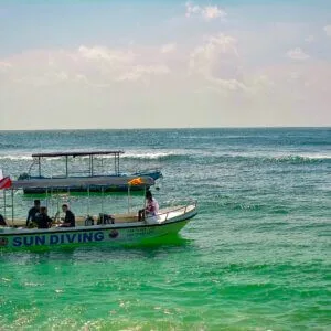Boat Tour | Jungle Beach