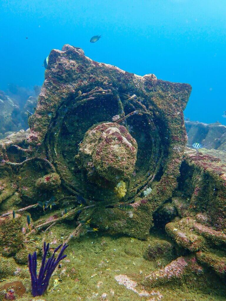 dive sites in sri lanka