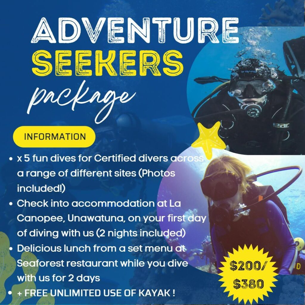 dive and stay full package