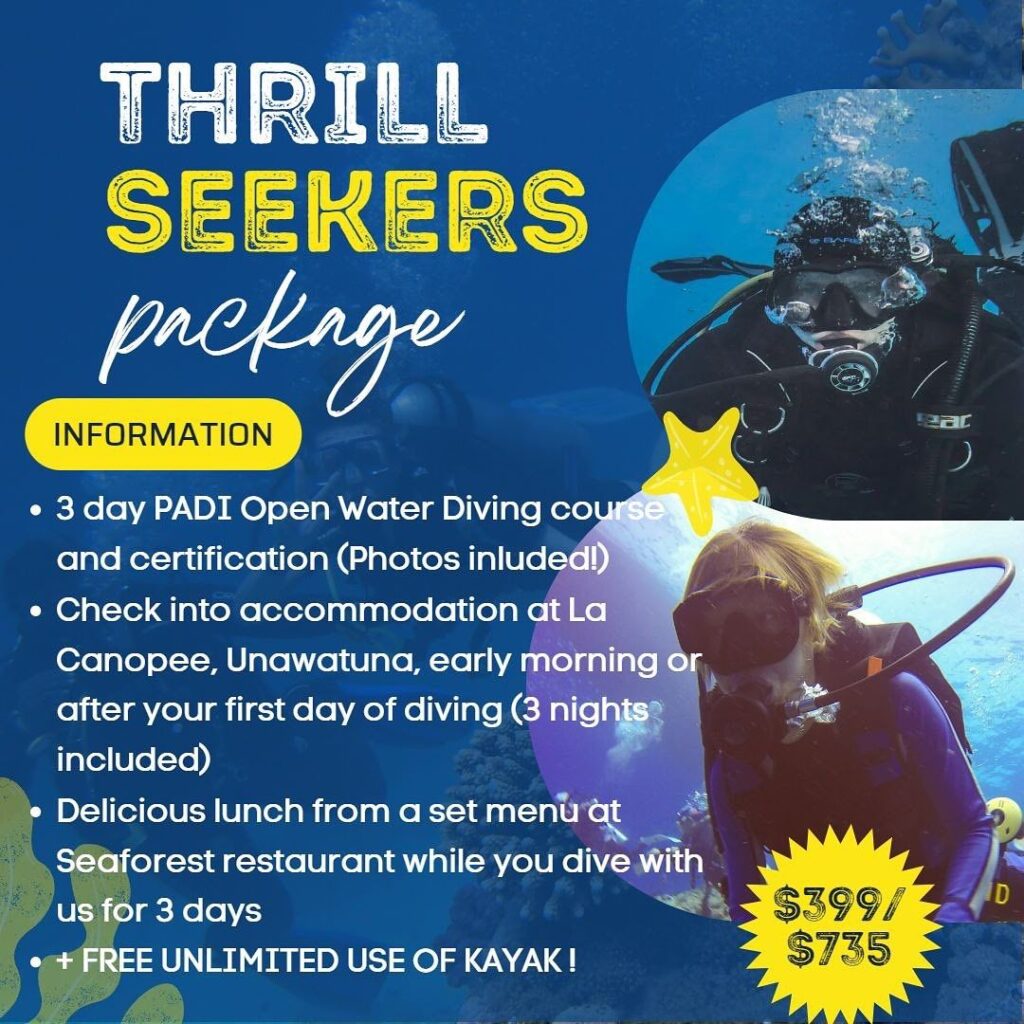 dive and stay full package