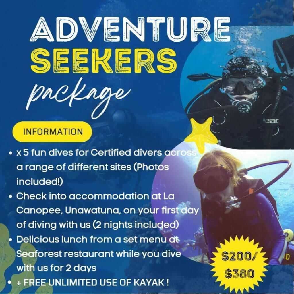 dive packages sri lanka