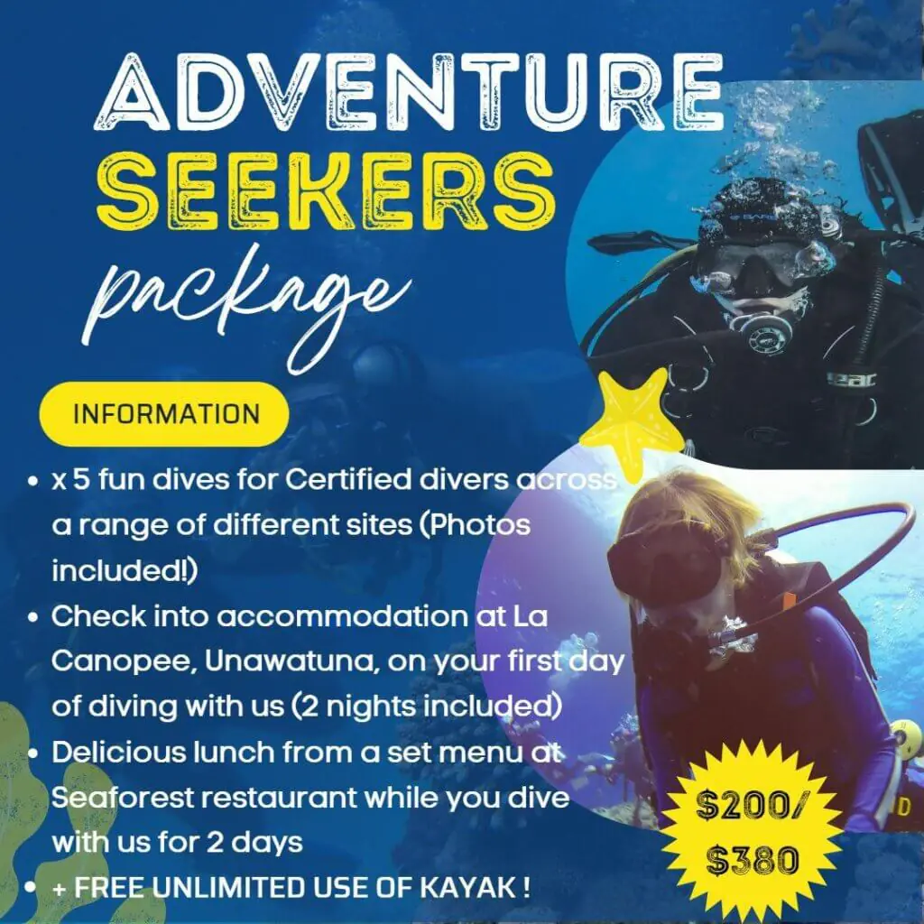 dive packages sri lanka